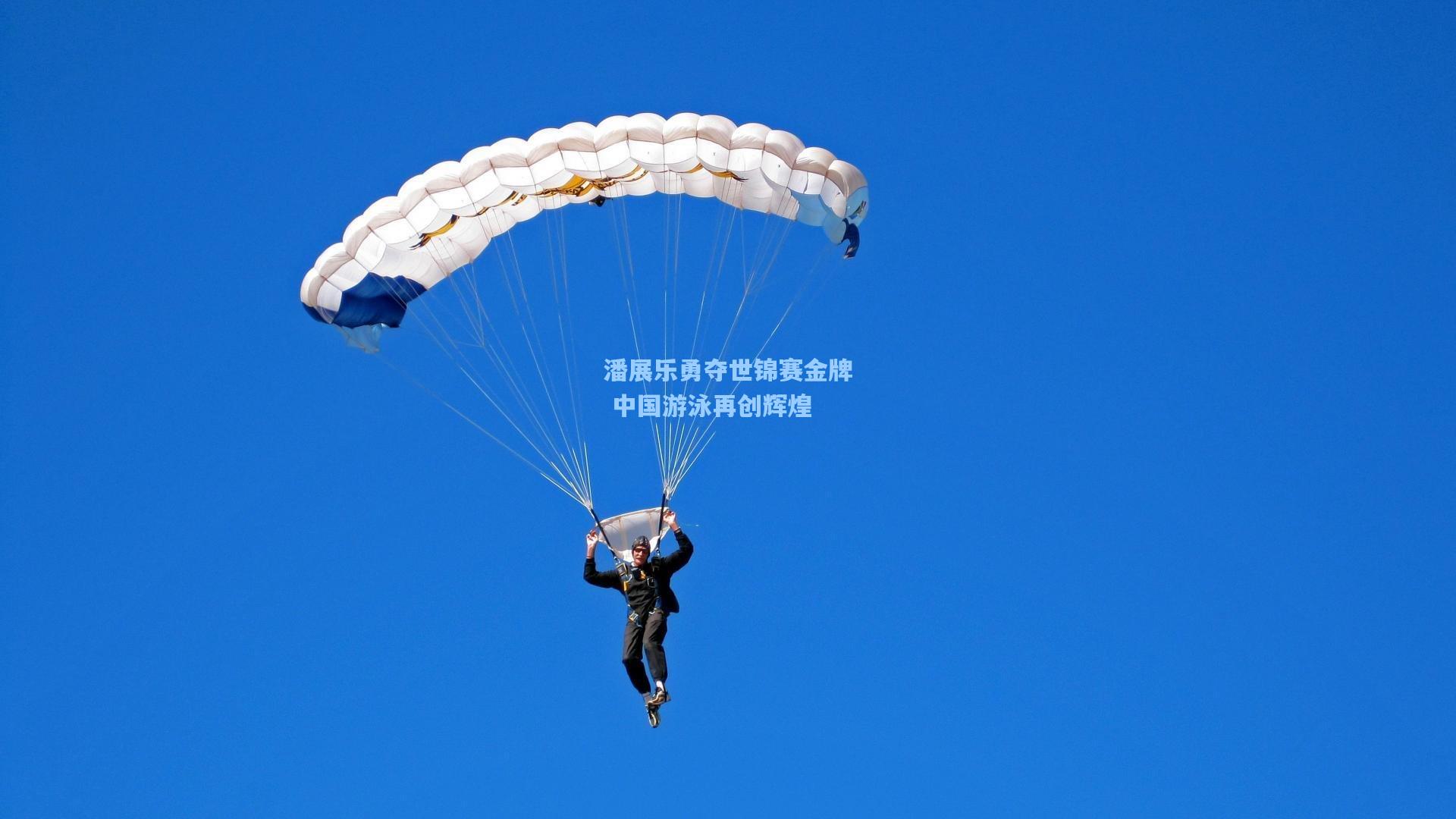 潘展乐勇夺世锦赛金牌 中国游泳再创辉煌