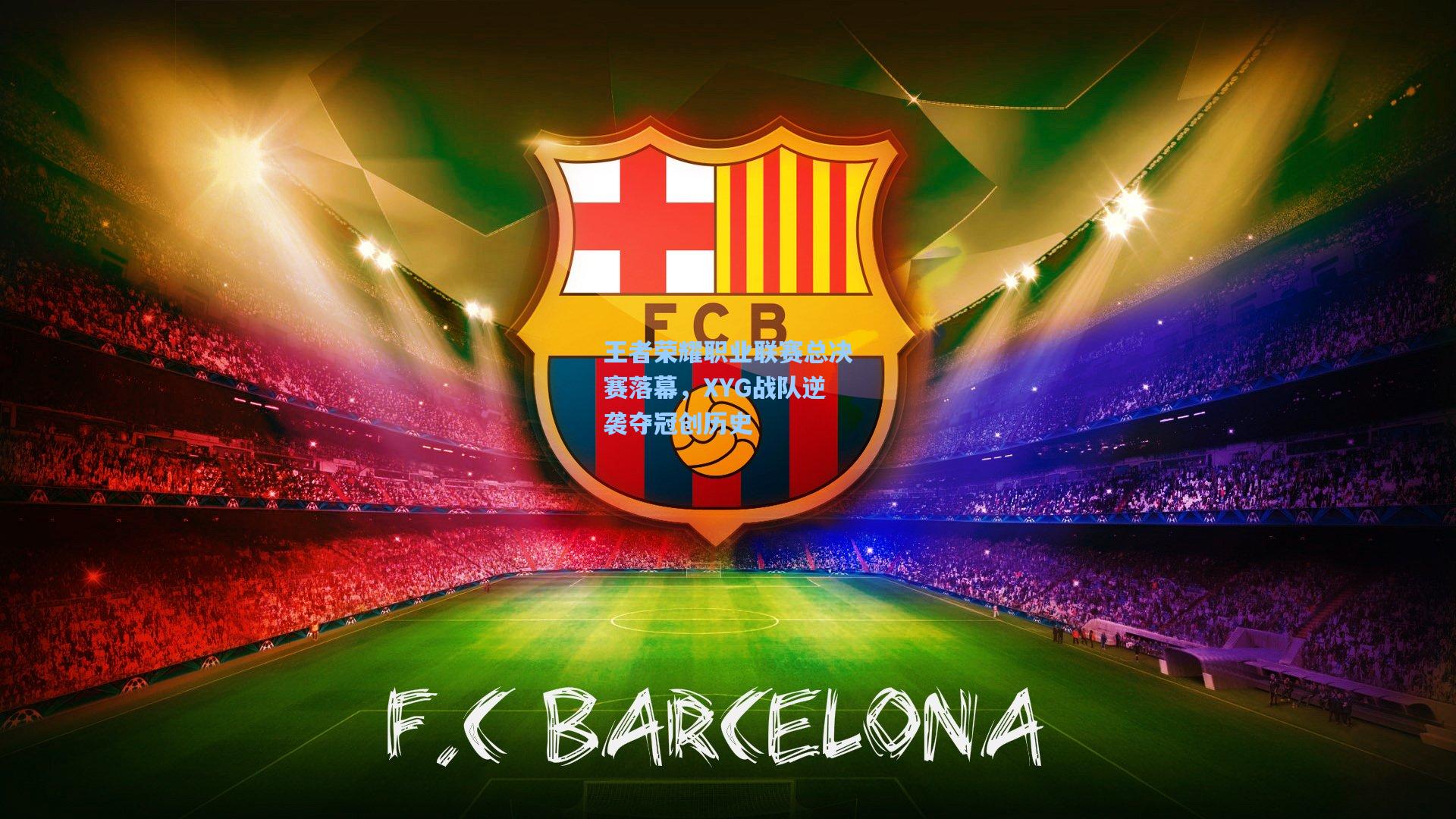 王者荣耀职业联赛总决赛落幕，XYG战队逆袭夺冠创历史