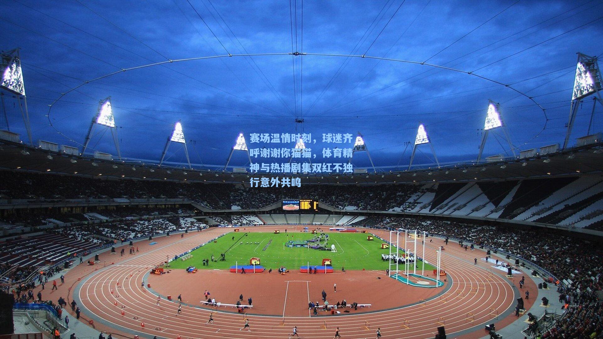 赛场温情时刻，球迷齐呼谢谢你猫猫，体育精神与热播剧集双红不独行意外共鸣